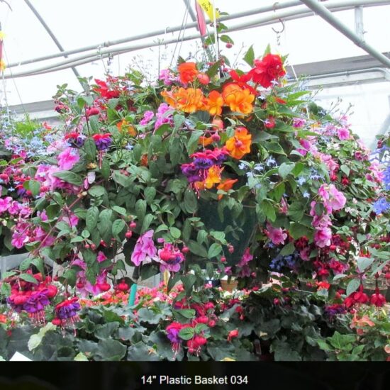 14 inch plastic basket-shade--034