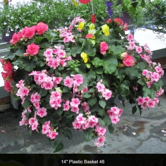 14 inch plastic basket- shade-46