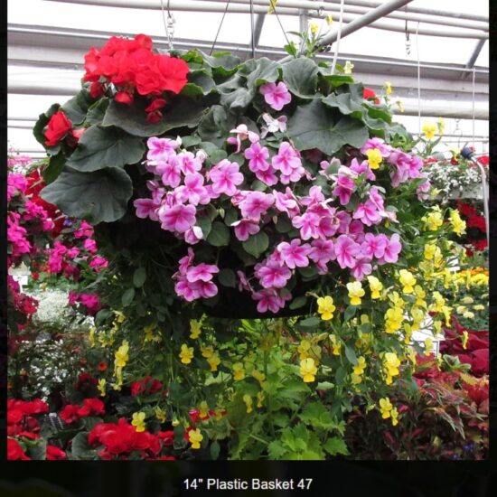 14 inch plastic basket-shade--47