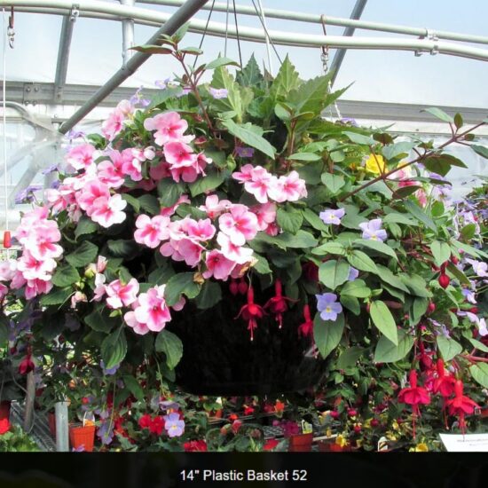 14 inch plastic basket -shade-52