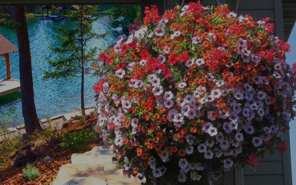 Delaney's Landscape Center, Custom Basket Designs