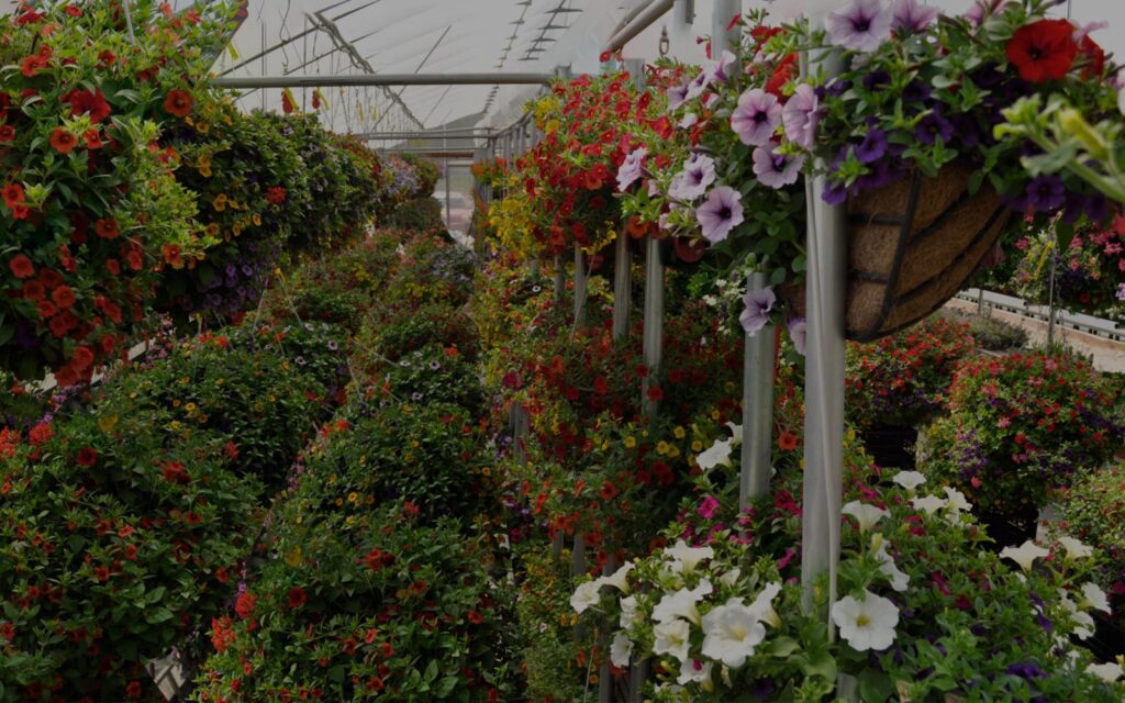 Delaney's Landscape Center, Polson Montana