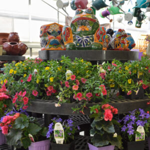 Delaney's Landscape Center, Polson Montana