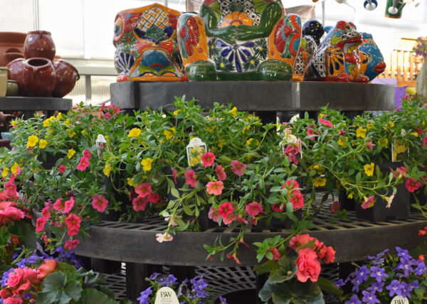 The Garden Center