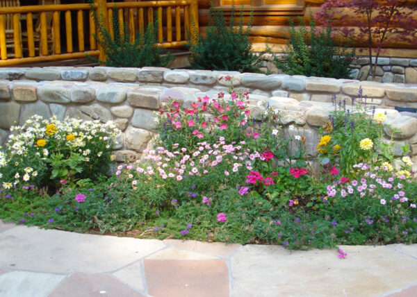Customize Your Landscape