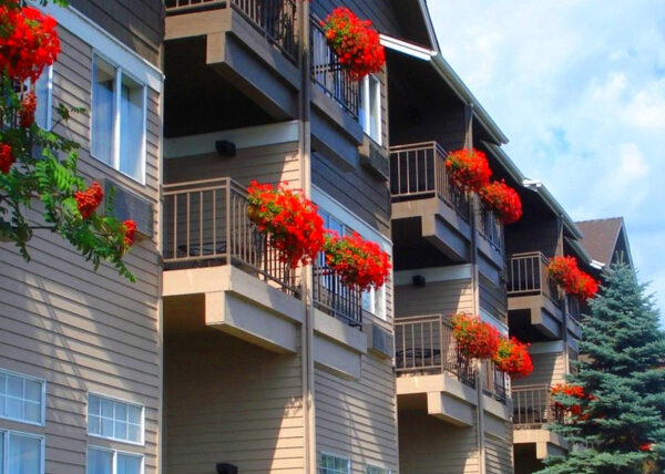 Customize Your Landscape