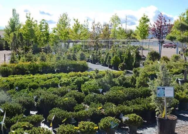 Our Nursery