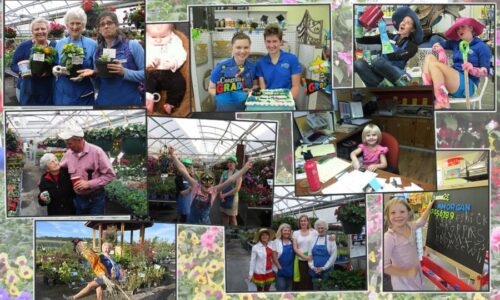 Our Nursery