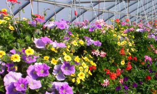 Our Nursery