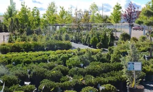 Our Nursery