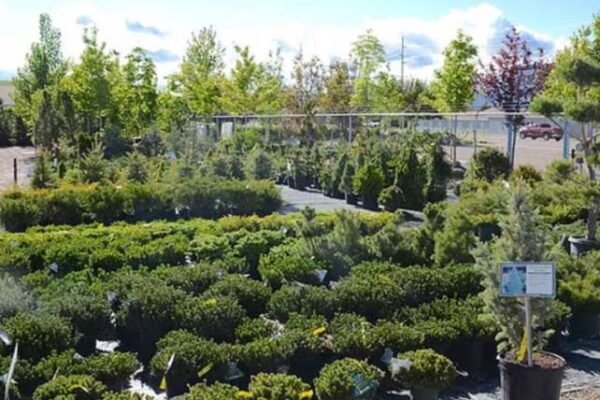 Delaney's Landscape Center